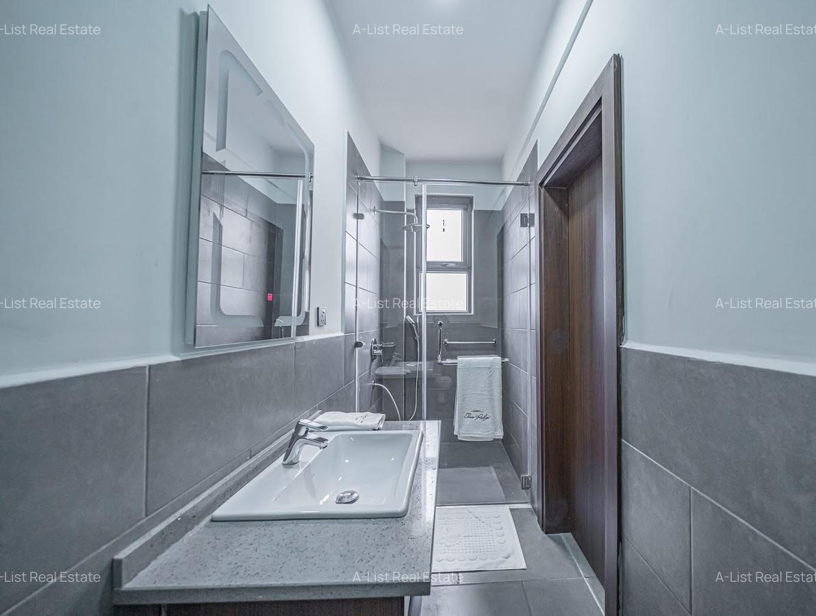 Furnished 1 Bed Apartment with En Suite at Spring Valley - 9