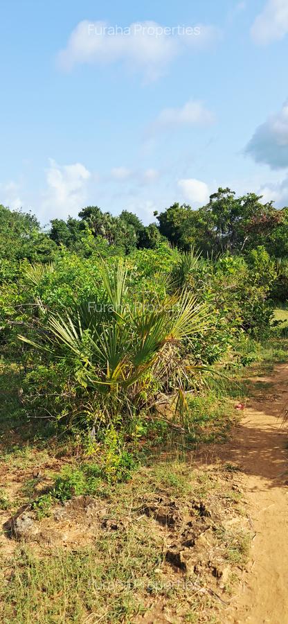 Land at Tiwi Near Diani South Coast - 12