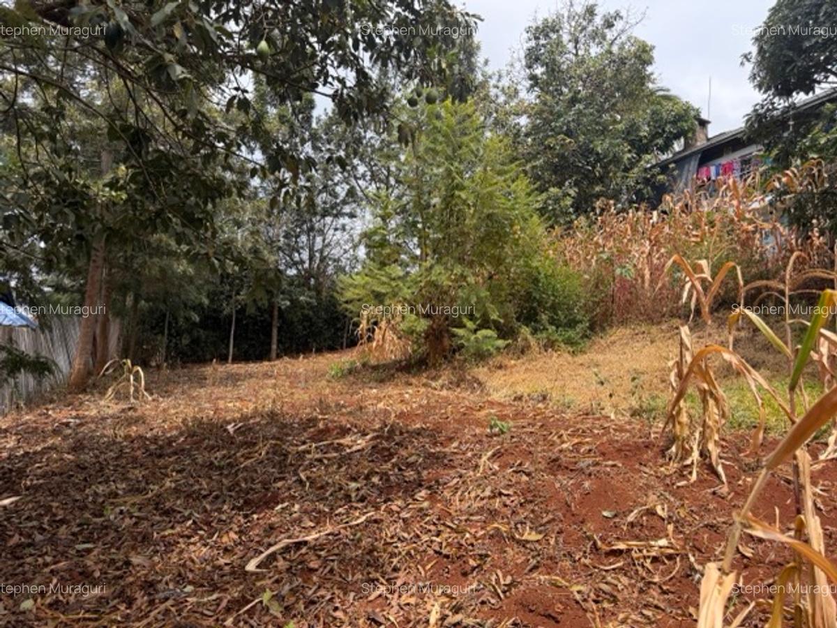 0.25 ac Land in Nyeri - 13