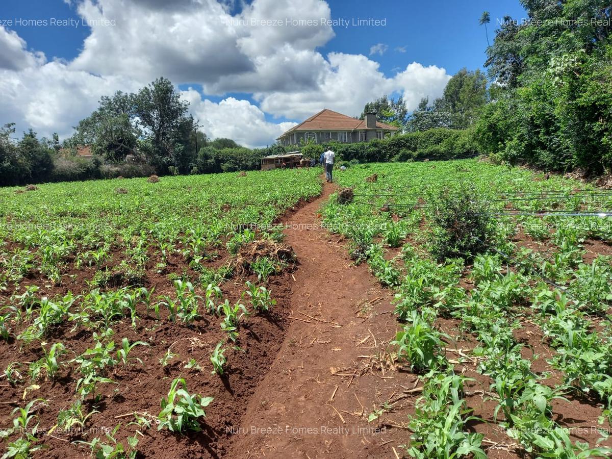 1 ac Residential Land in Runda - 1
