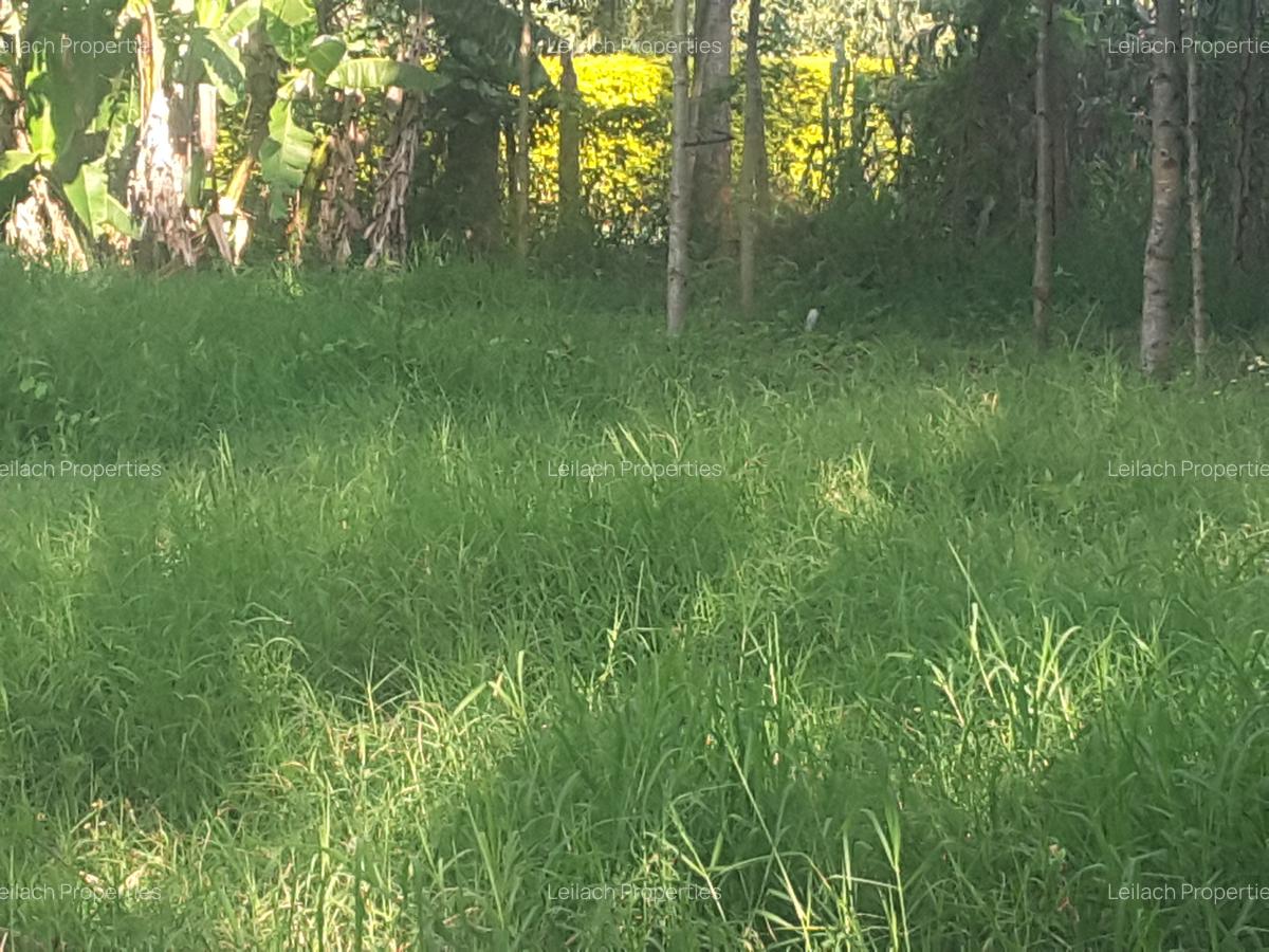 1.2 ac Land in Ngong - 1