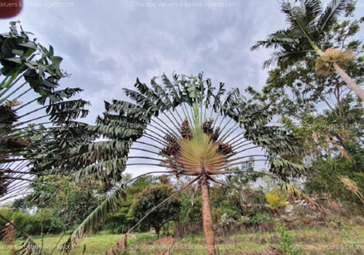 26 ac Land in Karen - 3