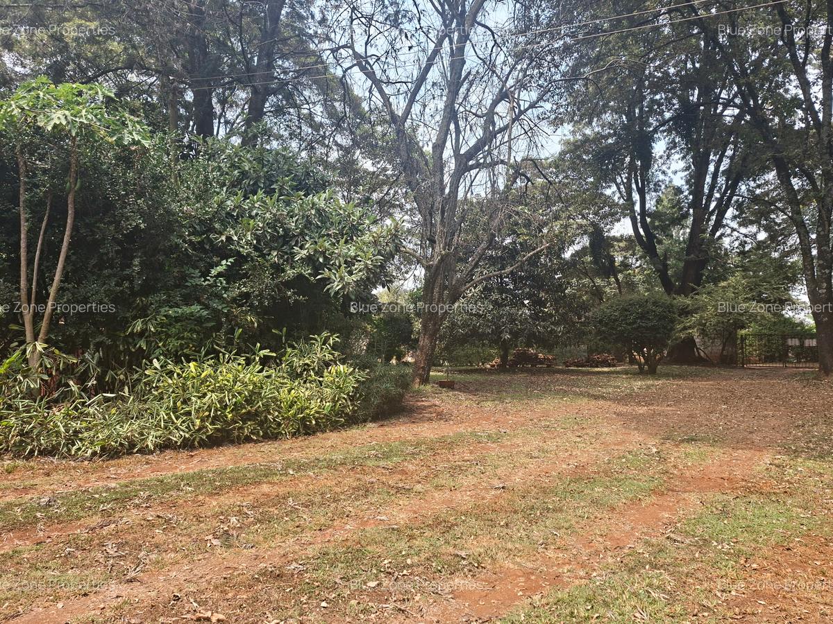 Land at Off Ridgeways/Kiambu Rd - 5