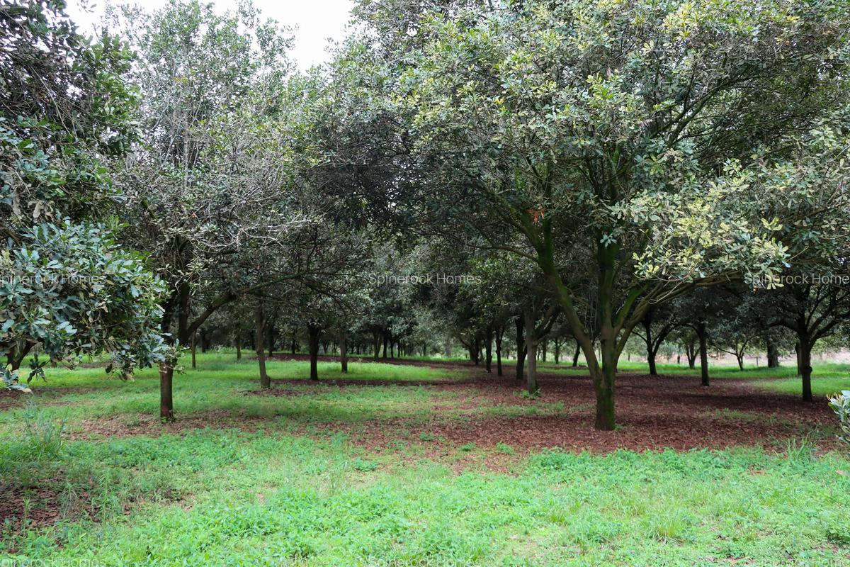 0.125 ac Land at Thika Grove Chania-Opposite Blue Post Hotel - 4