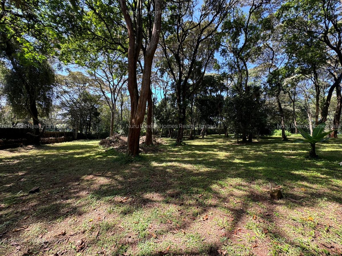 1 ac Land in Karen - 5
