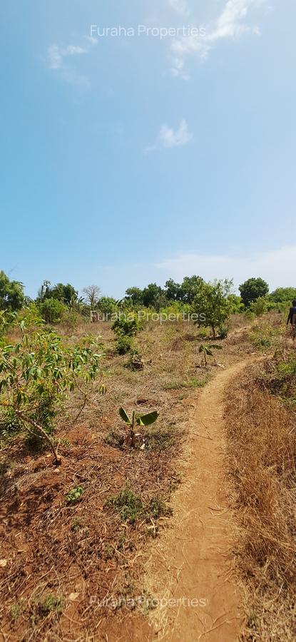 Land at Vipingo - 8