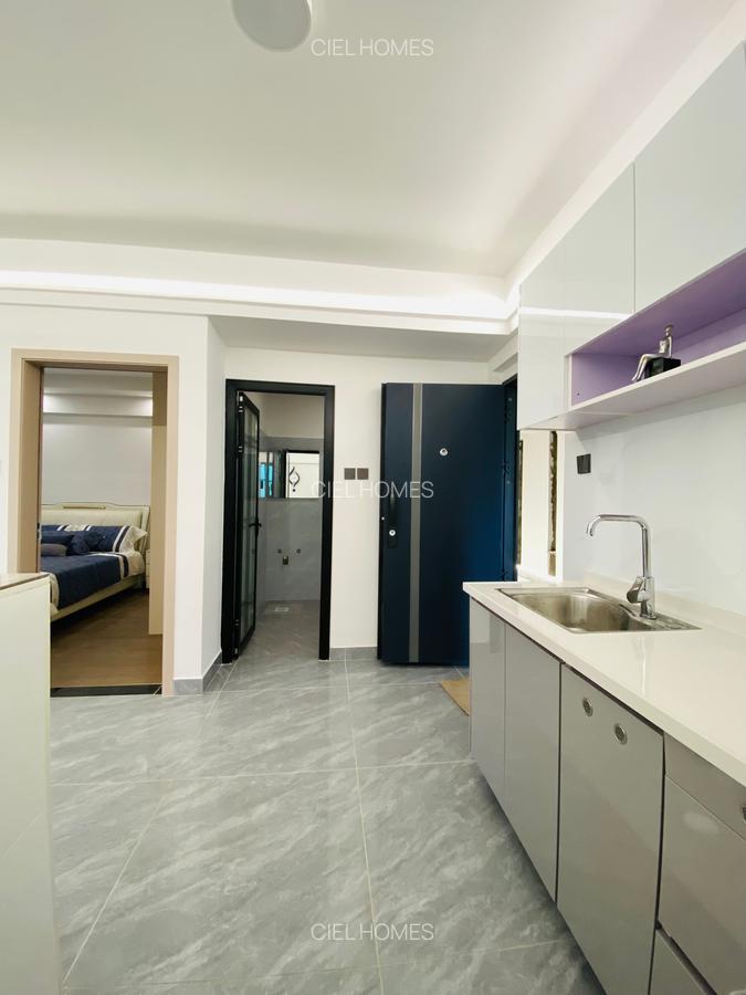 1 Bed Apartment with En Suite at Turbo Road - 8