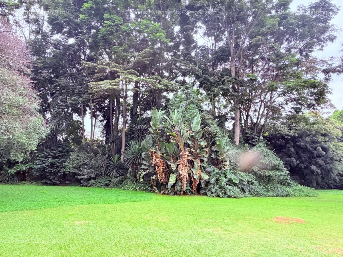 4.1 ac Land in Rosslyn - 1