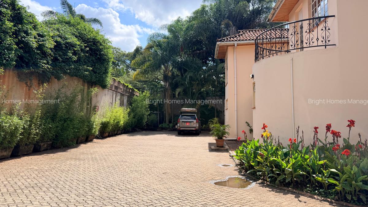 Commercial Property with Parking in Lavington - 3