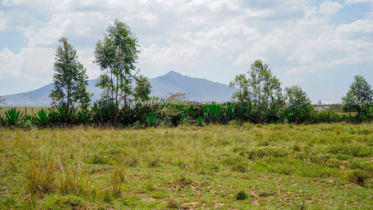 Residential Land in Naivasha - 4