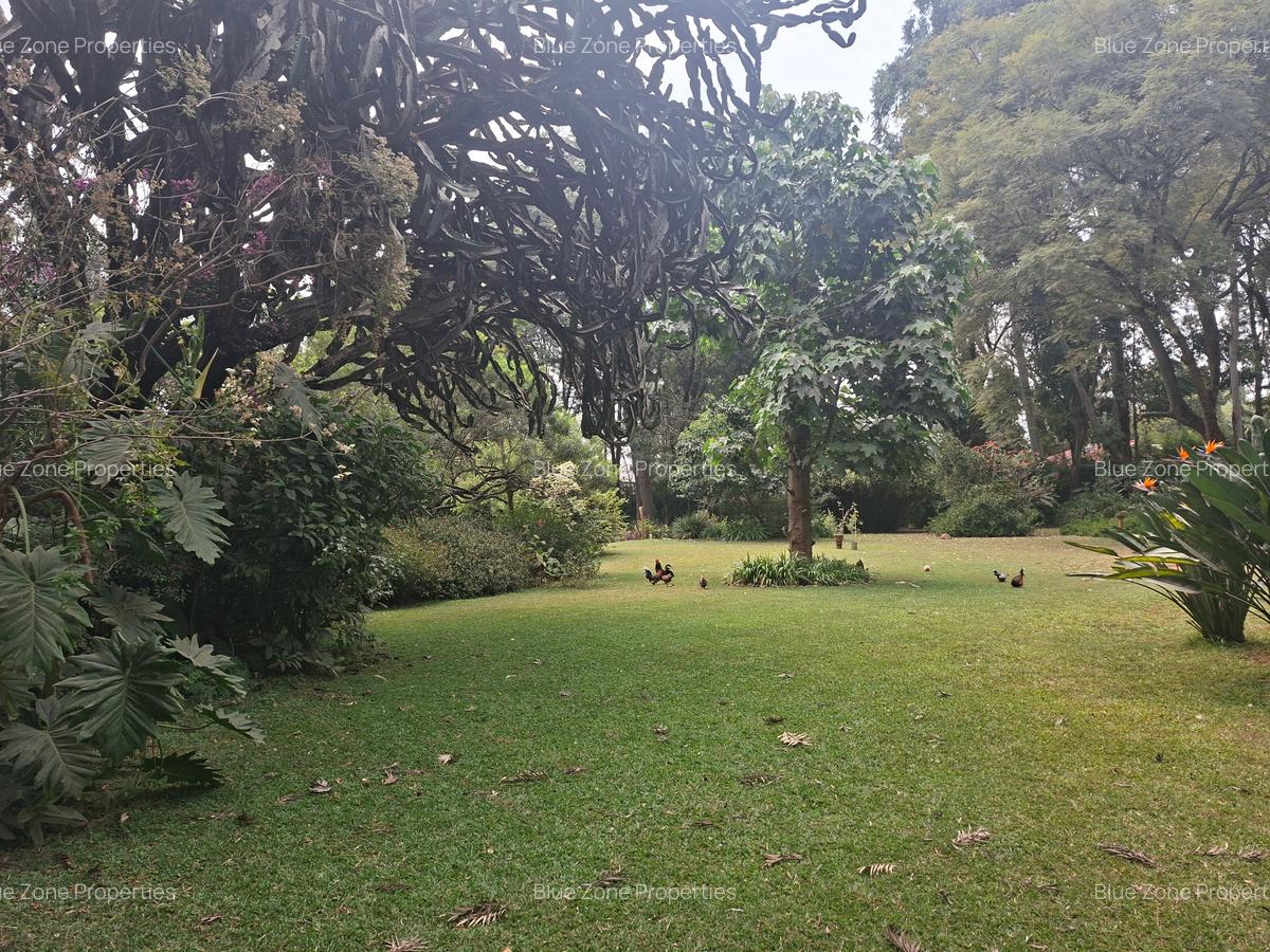 Land at Off Ridgeways/Kiambu Rd - 4