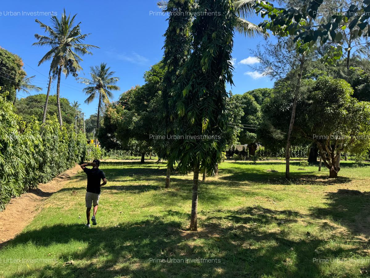 Land in Mtwapa - 13