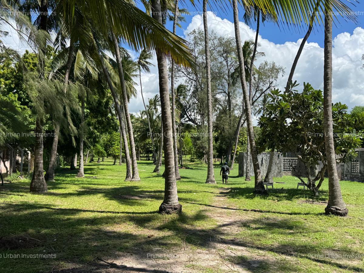 3.9 ac Land at Kikambala Beach - 7