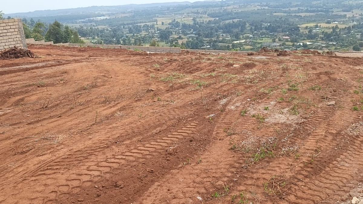 ccbd5216-bfe1-4307-bc9d-cde4dc4237b1