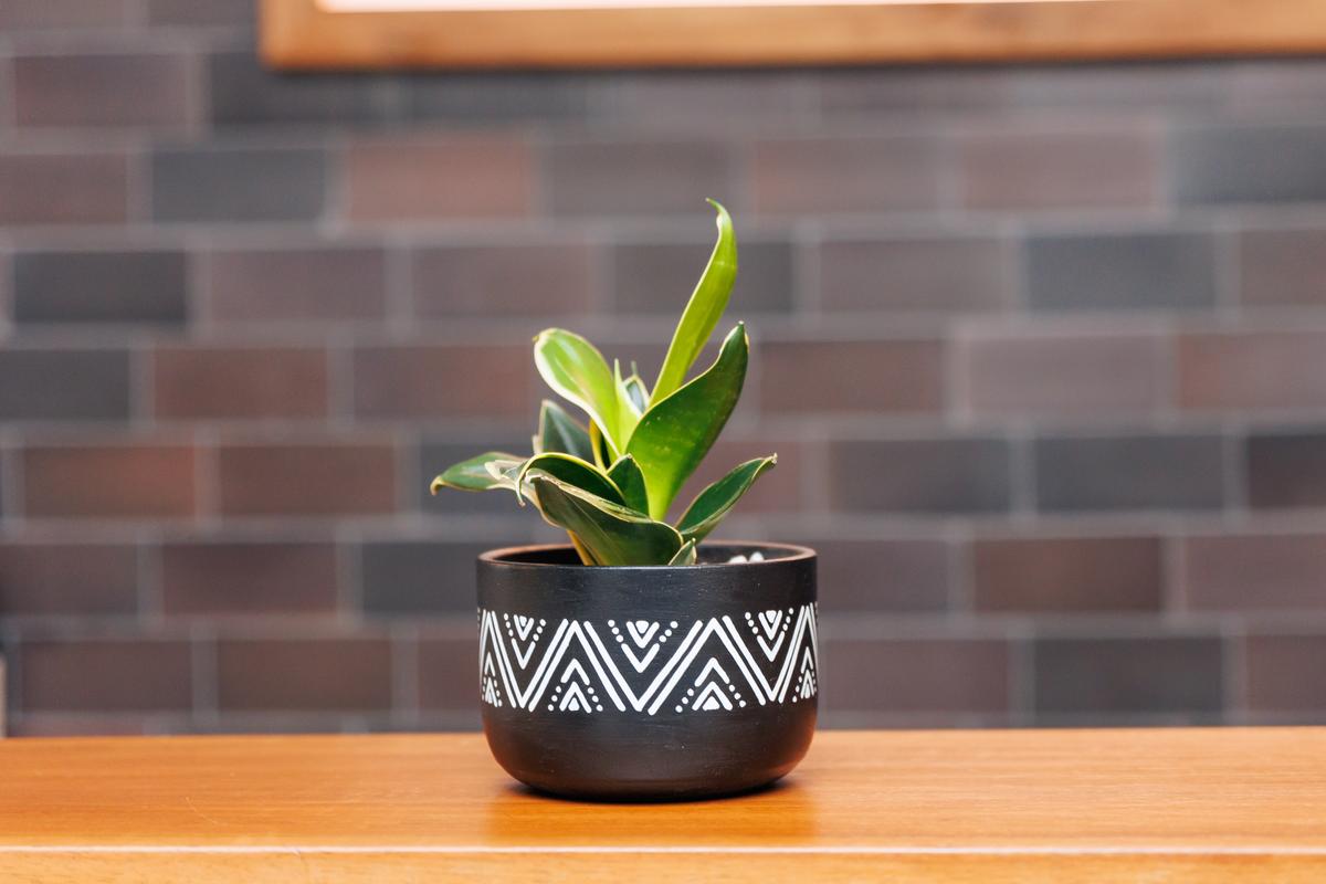 c2b3ad79-5830-4034-8ba0-426b2dadac56