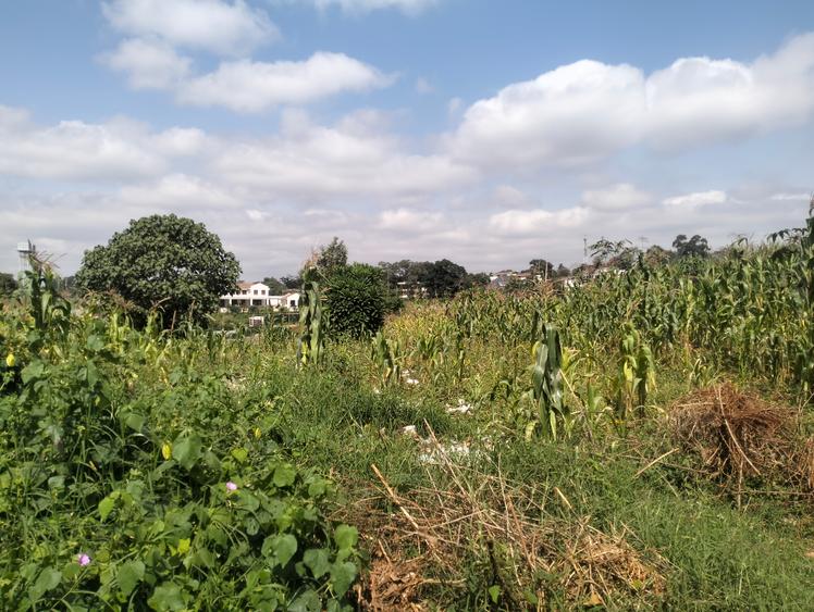0.5 ac Land in Kitisuru - Widok 2