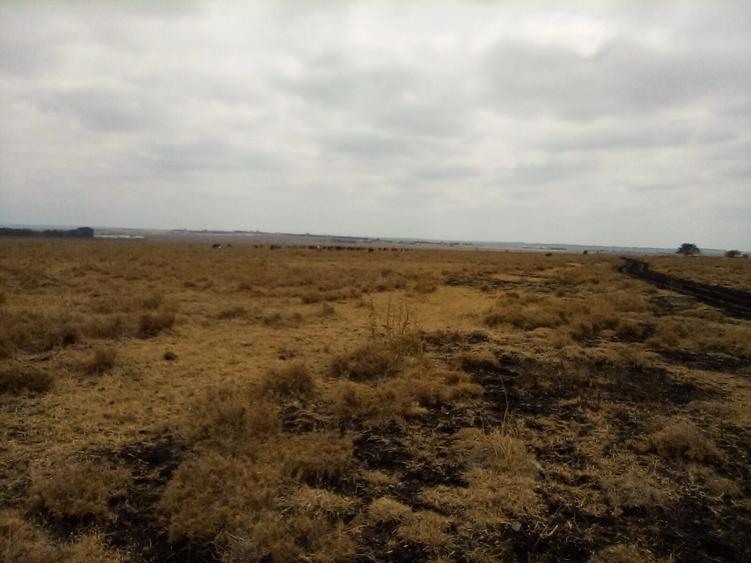 192 ac Land at Kiserian-Isinya Rd - Bild 4