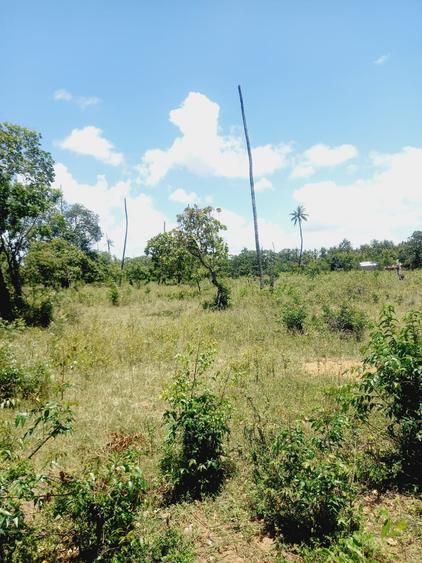 40 ac Residential Land in Kilifi - Widok 6