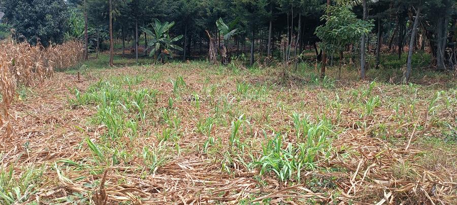 Residential Land at Gathiga