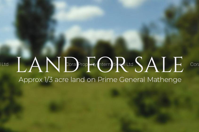 0.33 ac Land in General Mathenge