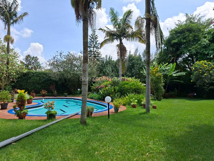 Serviced 1 Bed Apartment with En Suite at Off Mimosa Rd