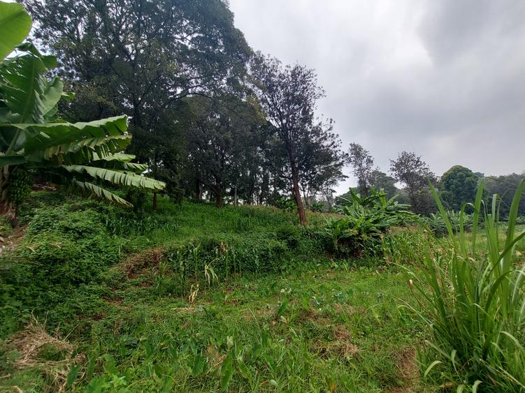 Residential Land at Kitisuru Ridge 44