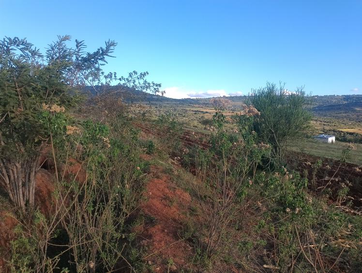 Land at Mua Hills Land at Mua Hills