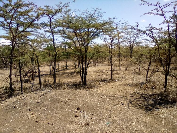 Land at Nanyuki-Rumuruti Rd