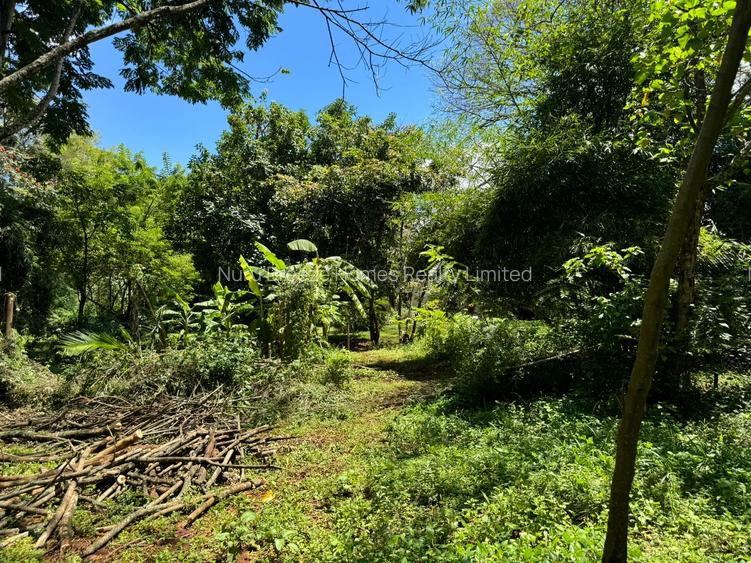 0.5 ac Residential Land in Kitisuru