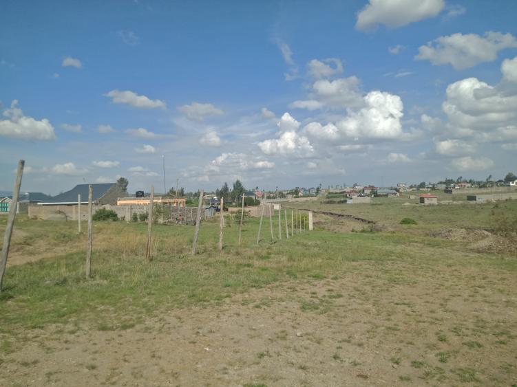 0.125 ac Land in Joska