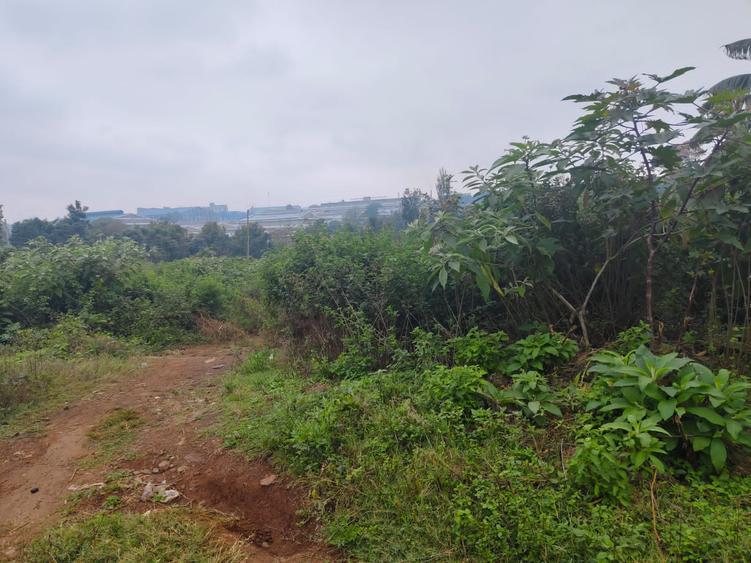 Land in Ngong Road