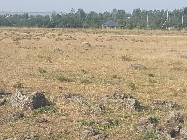 17 ac Land in Ongata Rongai - Widok 3