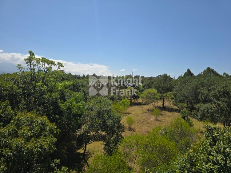 4 ac Land at Nanyuki Town