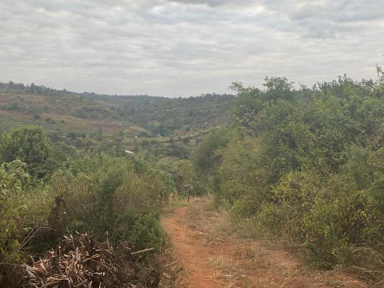0.5 ac Residential Land at Muthatari - View 4