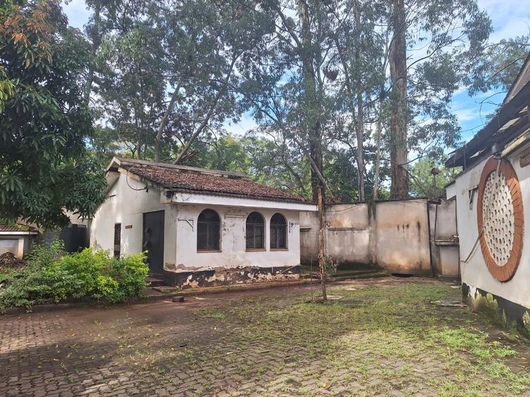 0.48 ac Commercial Land at Peponi Road - Widok 6
