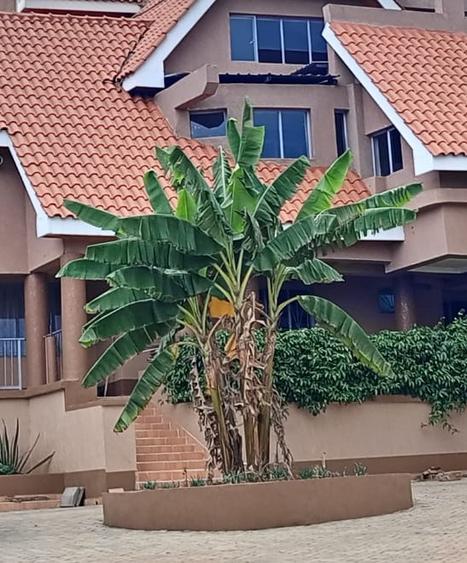 7 Bed House with En Suite at Runda