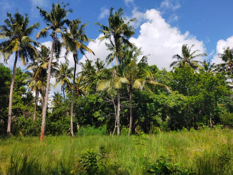 Land in Kilifi County Land in Kilifi County