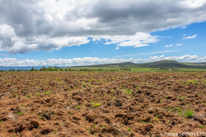 Land in Gilgil