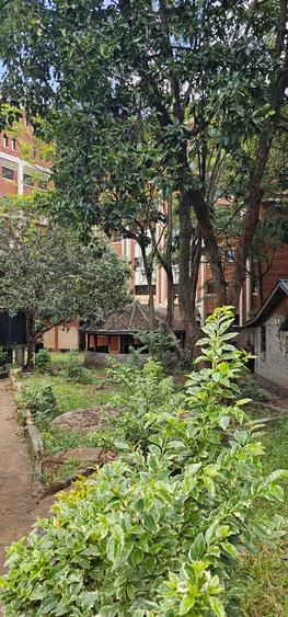 Land in Upper Hill