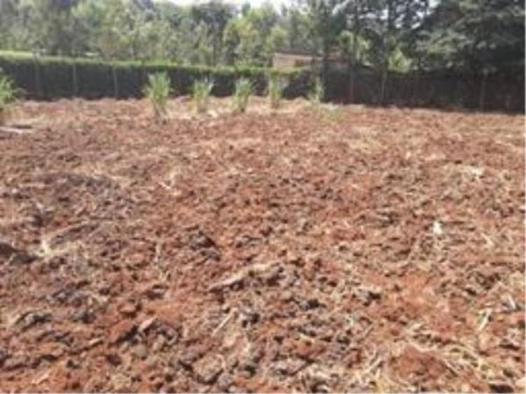 Residential Land at Ngong - Kerarapon