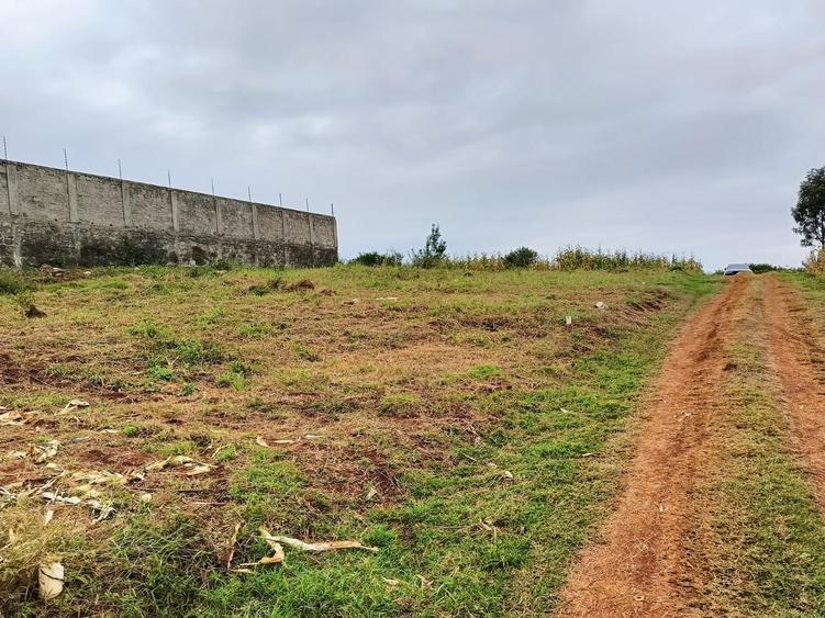 Residential Land at Anmer Estate