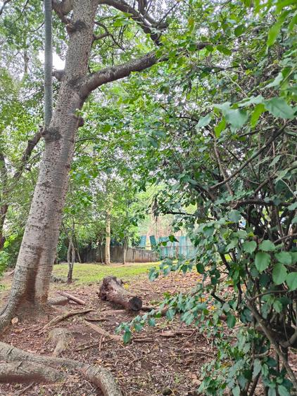 2 ac Land at Lantana Road