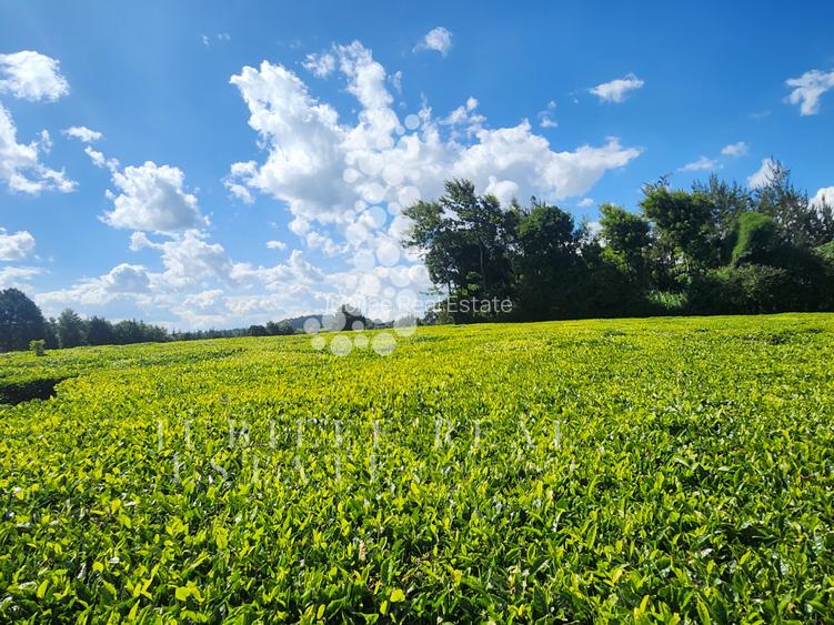 12 ac Land in Tigoni