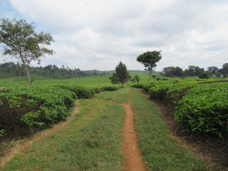 Land in Kiambu Town