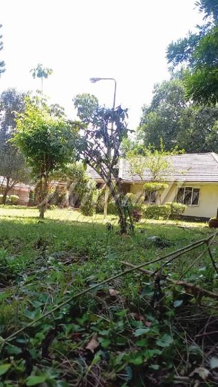 0.75 ac Office with Service Charge Included in Lavington