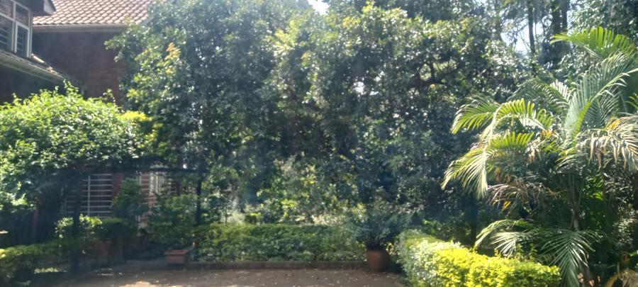 6 Bed House at Rosslyn Lone Tree - Widok 6