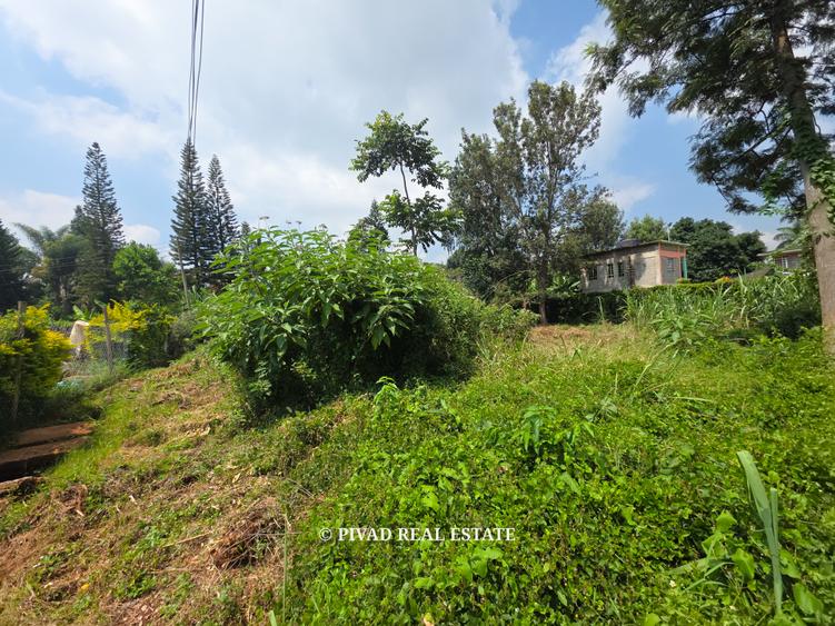 0.5 ac Land at Muthithi Gardens – pohled 4