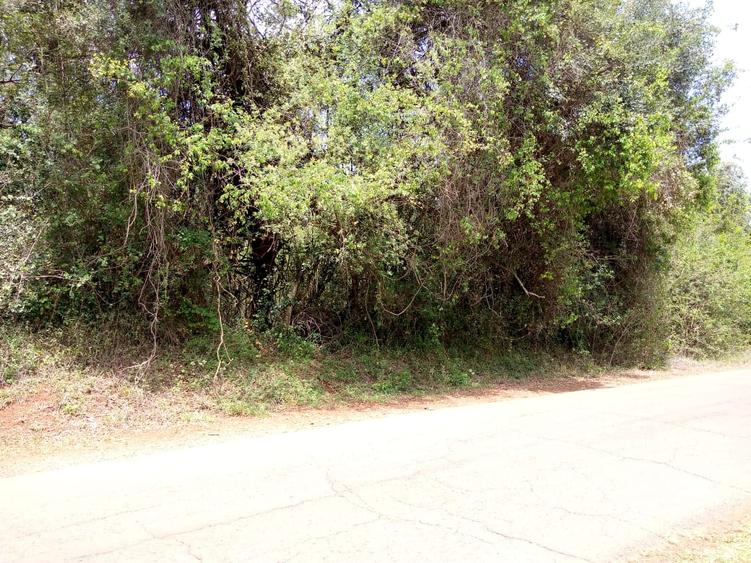 1 ac Land in Karen