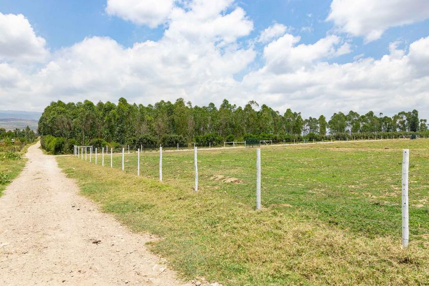 Land at Moi South Lake Road