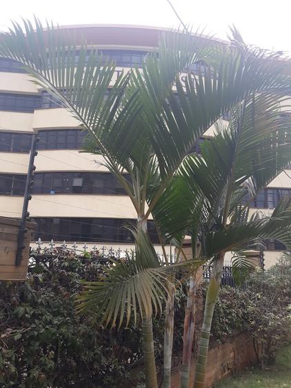 1,898 ft² Office with Backup Generator in Westlands Area – pohled 2